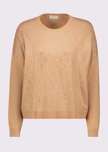 Brown Women's Crew Neck Sweater GAUDI (SKU)521BD53003