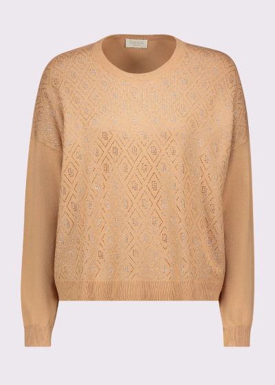 Brown Women's Crew Neck Sweater GAUDI (SKU)521BD53003